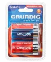 Groothandel dikke lr20 grundig batterijen speelgoed