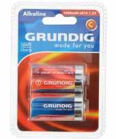 Groothandel lr14 grundig batterijen speelgoed